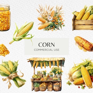 Corn Watercolour Clipart Bundle, 16 Transparent PNG 300 dpi, Sweetcorn, Vegetable Graphics, Corn On The Cob, Digital Download Commercial Use