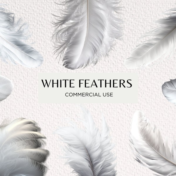 Fluffy White Feathers Clipart, 8 Transparent Background PNG Files 300 dpi, Angel Wing Falling Feather, Digital Download, Commercial Use