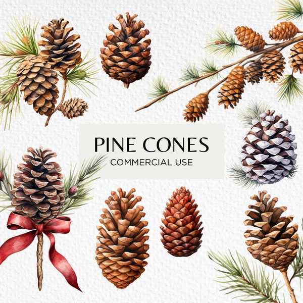 Pine Cones Watercolour Clipart, 10 Transparent PNG 300 dpi, Christmas Botanicals, Festive Foliage, Pinecone, Digital Download Commercial Use