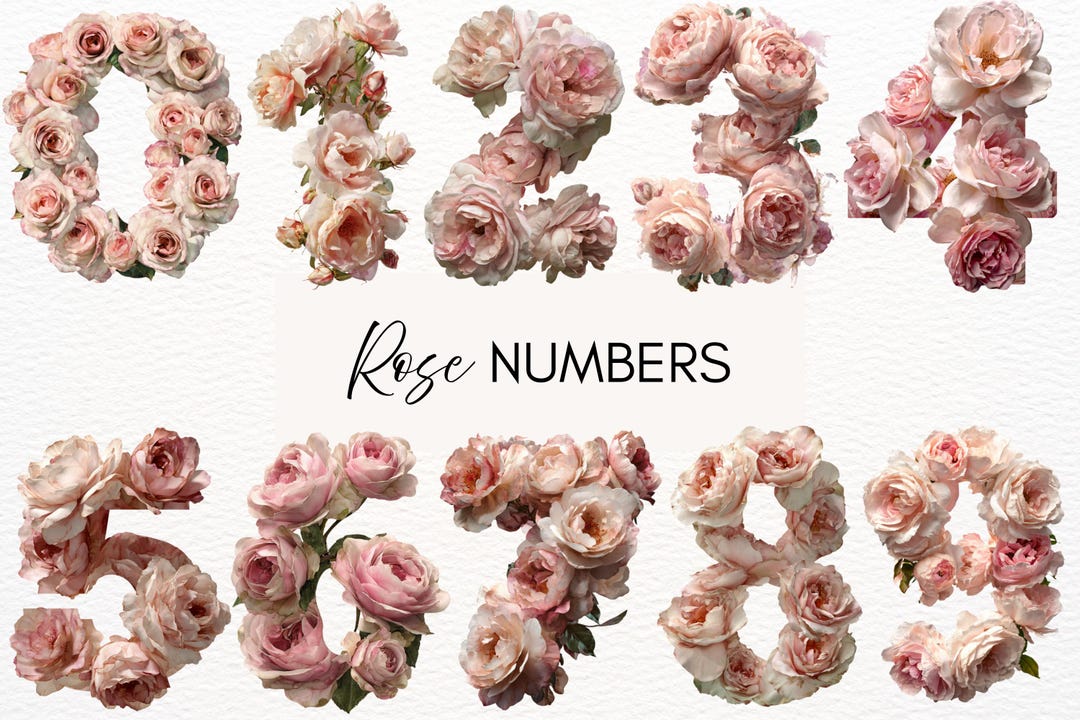 Blush Pink Rose Numbers Clipart Bundle, 10 Transparent PNG 300dpi ...