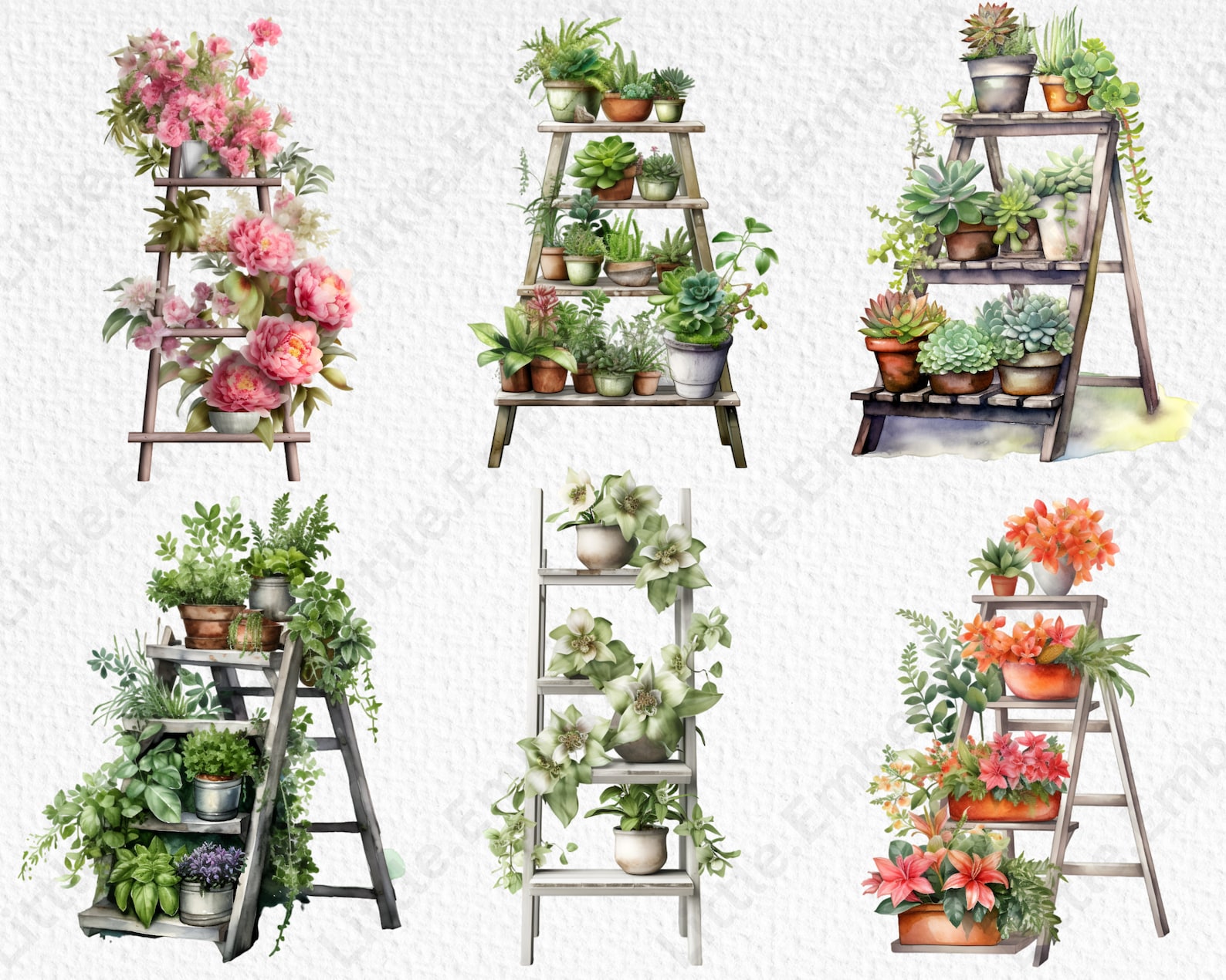 Ladder Plant Stand Watercolour Clipart Bundle, 15 Transparent PNG 300 ...