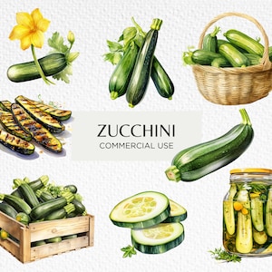 Courgettes aquarelle Clipart Bundle, 10 Transparent PNG 300 dpi, Végétarien, Courgette, Potager, Téléchargement numérique, Utilisation commerciale