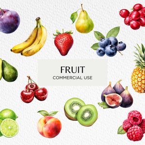 Bundle de cliparts aquarelle de fruits, 20 PNG transparents 300 dpi, cerises, oranges, fruit de la passion, myrtilles, téléchargement numérique, usage commercial