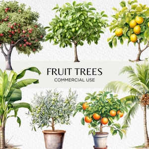 Fruitbomen aquarel clipart, 20 transparante PNG 300dpi, fruitdragende bomen, tropische bomen, appelboom, digitale download commercieel gebruik