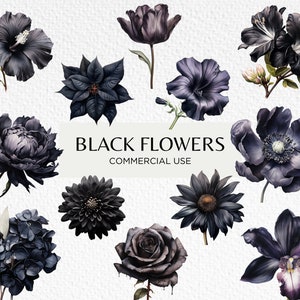 Fleurs noires aquarelle Clipart Bundle, 20 PNG transparent 300 dpi, têtes de fleurs foncées, jardin floral, téléchargement numérique. Un usage commercial