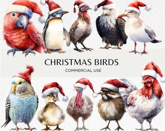 Uccelli di Natale che indossano cappelli di Babbo Natale Clipart ad acquerello, 24 PNG trasparenti 300 dpi, Uccello di Natale festivo, Download digitale, Uso commerciale