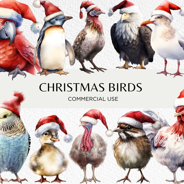 Christmas Birds Wearing Santa Hats Watercolour Clipart, 24 Transparent PNG 300 dpi, Festive Christmas Bird, Digital Download, Commercial Use