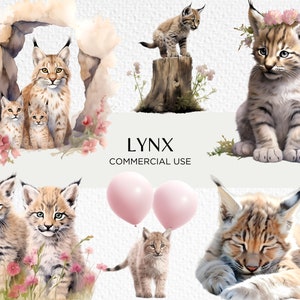 Lynx aquarel clipart bundel, 16 transparante PNG 300 dpi, schattige Lynx Cubs, Bobcat familie, eenzame katten, digitale download, commercieel gebruik