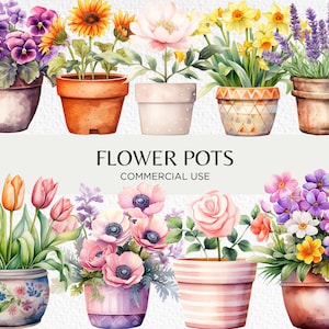 Schattige bloempotten aquarel clipart, 20 transparante PNG 300 dpi, kleurrijke plantenpot, bloemendisplay, digitale download, commercieel gebruik
