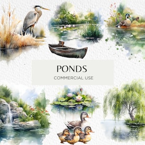 Pacote de clipart de lagoas em aquarela, 20 PNG isolados transparentes 300 dpi, lagoa de lírio fofo, paisagens aquáticas, download digital, uso comercial