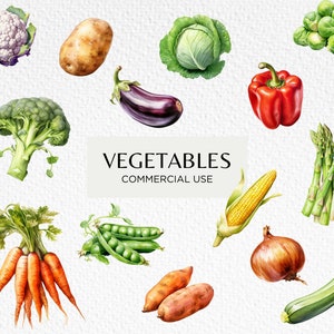 Pacchetto di clipart acquerello di verdure, 20 PNG trasparenti 300 dpi, vegetariano, verdure a radice, orto, download digitale uso commerciale