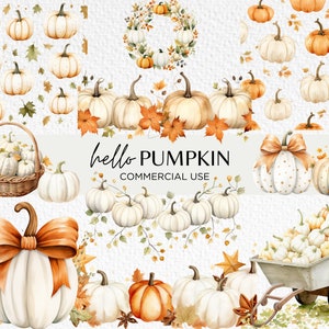 Lindas calabazas blancas acuarela clipart, 20 PNG transparente 300 dpi, gráficos de calabaza de otoño, calabaza de otoño, descarga digital, uso comercial