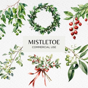 Clipart aquarelle de gui, 10 PNG transparents 300 dpi, plantes de Noël, feuillage festif romantique, téléchargement numérique, usage Commercial