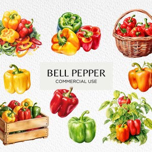 Bundle de cliparts aquarelle poivrons, 12 PNG transparents 300 dpi, poivrons, salade de légumes, potager, téléchargement numérique, usage Commercial