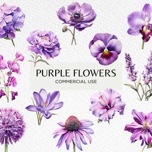 Lila Blumen Aquarell Clipart Bundle, 20 transparente PNG 300 dpi, lila Blüte, Blumengarten, digitaler Download. Kommerzielle Nutzung