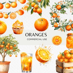 Oranges Watercolour Clipart Bundle, 20 Transparent PNG 300 dpi, Cute Orange Trees, Marmalade, Orange Cake, Digital Download Commercial Use
