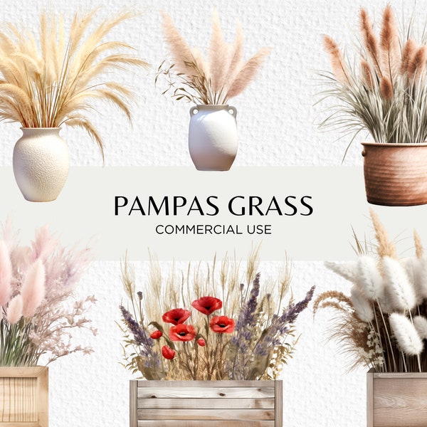 Watercolour Pampas Grass In Vase Clipart Bundle, 14 Transparent PNG Images 300 dpi, Ornamental Grass, Digital Download, Commercial Use