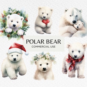 Polar Bears Watercolour Clipart, 20 Transparent PNG 300 dpi, Cute Baby Polar Bear, White Christmas Bears, Digital Download, Commercial Use