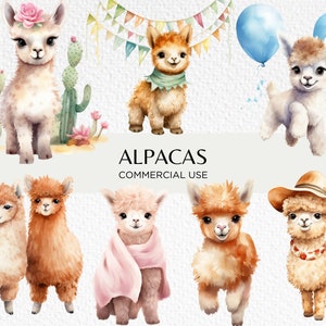 Paquete de imágenes prediseñadas de acuarela de Alpacas, 20 PNG transparente 300 ppp, linda alpaca bebé, familia de llamas feliz, descarga digital, uso comercial