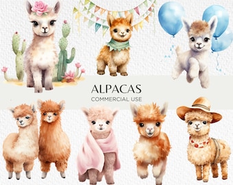 Alpacas Watercolour Clipart Bundle, 20 Transparent PNG 300 dpi, Cute Baby Alpaca, Happy Llama Family, Digital Download, Commercial Use