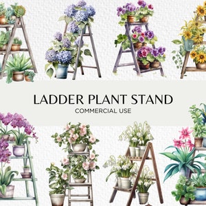 Ladder Plant Stand Aquarel Clipart Bundel, 15 Transparante PNG 300 dpi, Houten Ladders Bloemendisplay, Digitale Download, Commercieel Gebruik