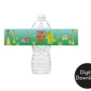 Botella agua personalizada Nombre Dinosaurios: 13,50 €