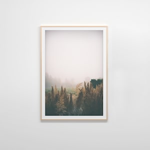 Foggy Nature Print, Wall Art, Analog Photography, Landscape Photography, Digital Download