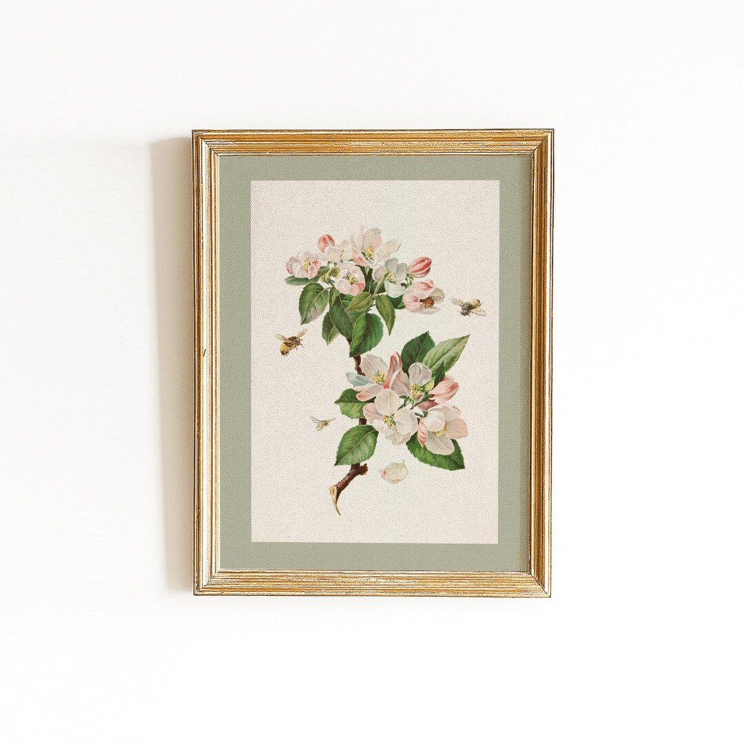 Vintage Apple Blossom Print: Antique Bee Botanical Art (digital ...