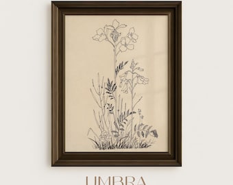 Botanical Flower Sketch Print – Vintage Line Drawing Wall Art – Minimalist Floral Illustration, Digital Download