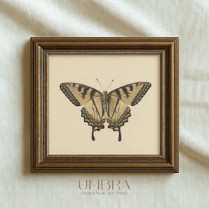 Vintage Butterfly Print: Antique Insect Illustration, Cottagecore Wall Art (Digital Download)