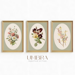 Puede incluir: Tres impresiones artísticas florales enmarcadas. Cada impresión presenta una disposición diferente de flores en forma ovalada sobre un fondo verde claro. Los marcos son dorados. La parte inferior de la imagen tiene el texto "UMBRA Digital Wall Art Prints".