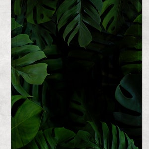 May include: A dark green background with large, tropical leaves. The leaves are arranged in a circular pattern, creating a frame around the center of the image.