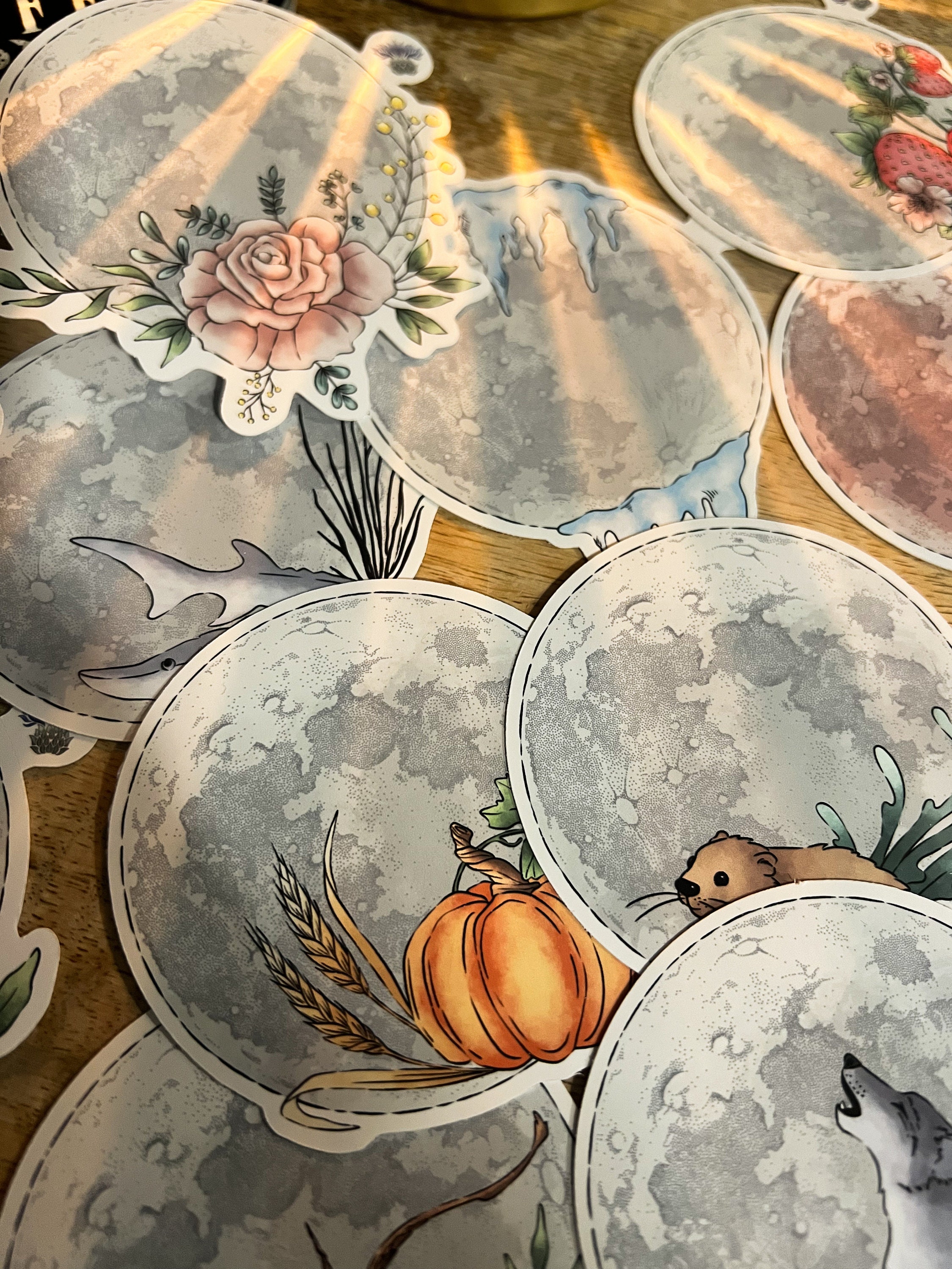 Full Moons Sticker Set 2024 Witchy Stickers Witchcraft Moon Stickers ...