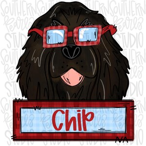 May include: A black dog with a red and white checkered bandana and red glasses with a blue and white checkered pattern. The dog is wearing a red and white checkered bandana and has a red and white checkered name tag that says "Chip".