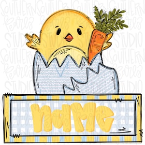 May include: A yellow chick hatching from a blue and white egg, holding a carrot with green leaves. The chick is above a rectangular sign with the word "Name" in yellow letters on a blue and white plaid background.