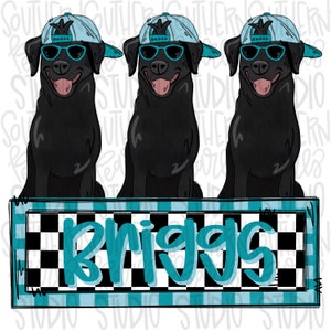 May include: A graphic illustration featuring three identical black Labrador dogs wearing light blue baseball caps and teal sunglasses. Below the dogs is a rectangular sign with a black and white checkered pattern and the name Briggs in teal.