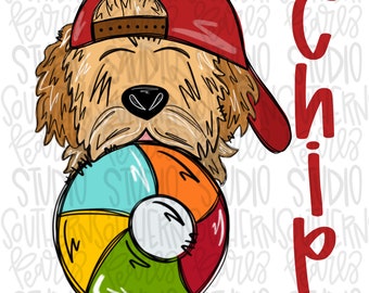 Goldendoodle con niño de la pelota de playa / Diseño de sublimación / Descarga digital / PNG para camisetas de mujer y niños