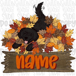 May include: A graphic illustration of a black dog with its tongue out, nestled in a pile of colorful autumn leaves in shades of orange, yellow, and brown. Below the leaves is a wooden sign with the word name written in bold orange letters.
