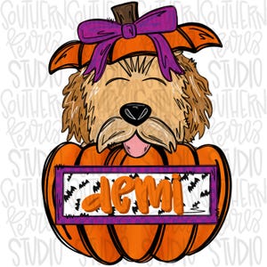 May include: A brown and white dog wearing a purple bow and a pumpkin costume. The pumpkin has a sign that says "demi" on it.