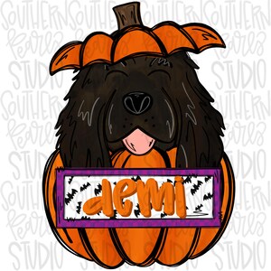 May include: A cartoon illustration of a black dog inside an orange pumpkin. The dog has a pink tongue sticking out. A sign with the name "Demi" in orange letters is in front of the dog. The sign has a purple border and bat graphics.