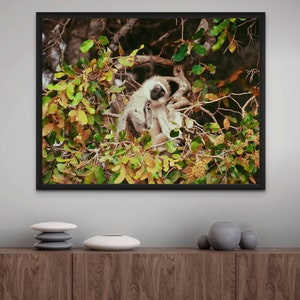 Affe im bunten Baum Fotodruck