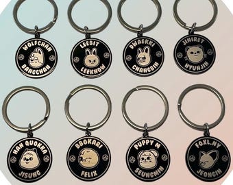 SKZOO Stainless Steel Keyring