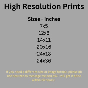 Op de afbeelding: Afbeelding met de tekst "High Resolution Prints" en formaten in inches: 7x5, 12x8, 14x11, 20x16, 24x18 en 24x36. De tekst nodigt uit om te vragen naar andere formaten, met een belofte van antwoord binnen 24 uur.