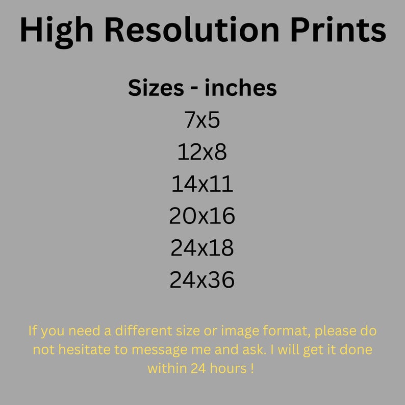 Op de afbeelding: Afbeelding met de tekst "High Resolution Prints" en formaten in inches: 7x5, 12x8, 14x11, 20x16, 24x18 en 24x36. De tekst nodigt uit om te vragen naar andere formaten, met een belofte van antwoord binnen 24 uur.