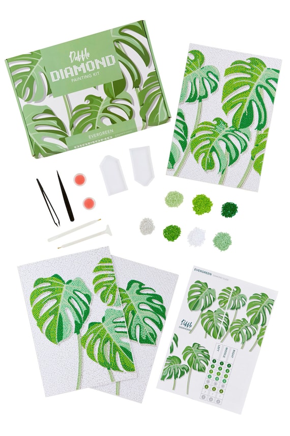 Dabble Premium Schilderen op Nummer Kit voor Volwassenen Beginners, Kwaliteit Schilderen op Nummer voor Volwassenen op Canvasframe, Bloemen, Planten, Cadeau Dabble Premium Schilderen op Nummer Kit voor Volwassenen Beginners, Kwaliteit Schilderen op Nummer voor Volwassenen op Canvasframe, Bloemen, Planten, Cadeau