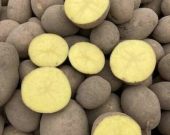 Patate Di Pasta Gialla della Sila 100% Biologica 10 kg