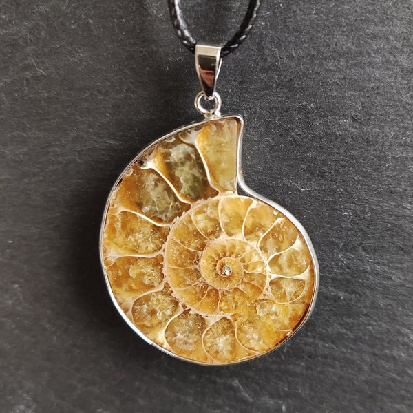 Ammonite Fossil Necklaces, Intricate Fossil Detail Natural Stone, Snail Shape Pendant, Ocean Conch, Shell Pendant, Spiral Necklace, Locket