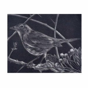 Nightingale