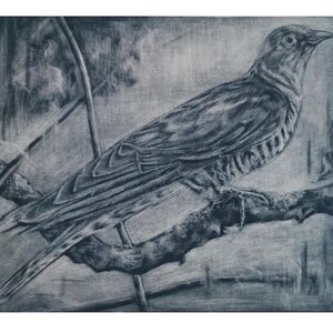 Cuckoo