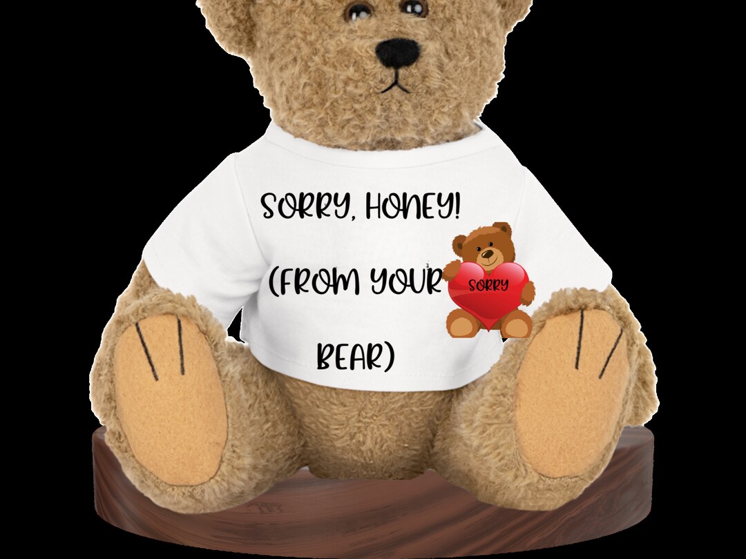 I'm Sorry Gift for Husband Wife Girlfriend Boyfriend Gift Apology Bear ...